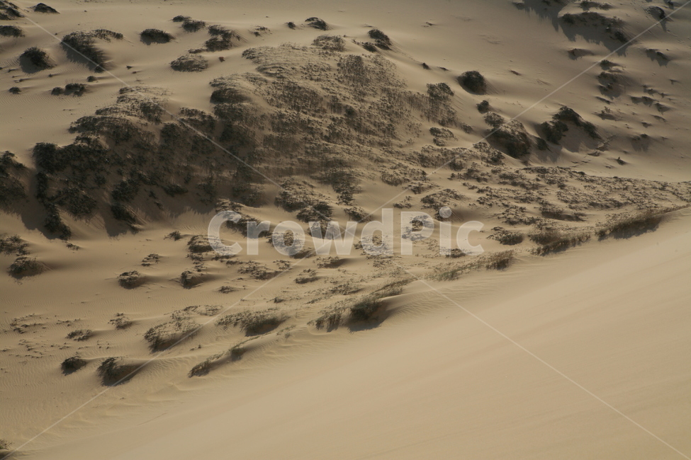 모래,사막,배경,질감,sand,nature,자연,모래언덕,dune,outdoors,바람,흙,desert