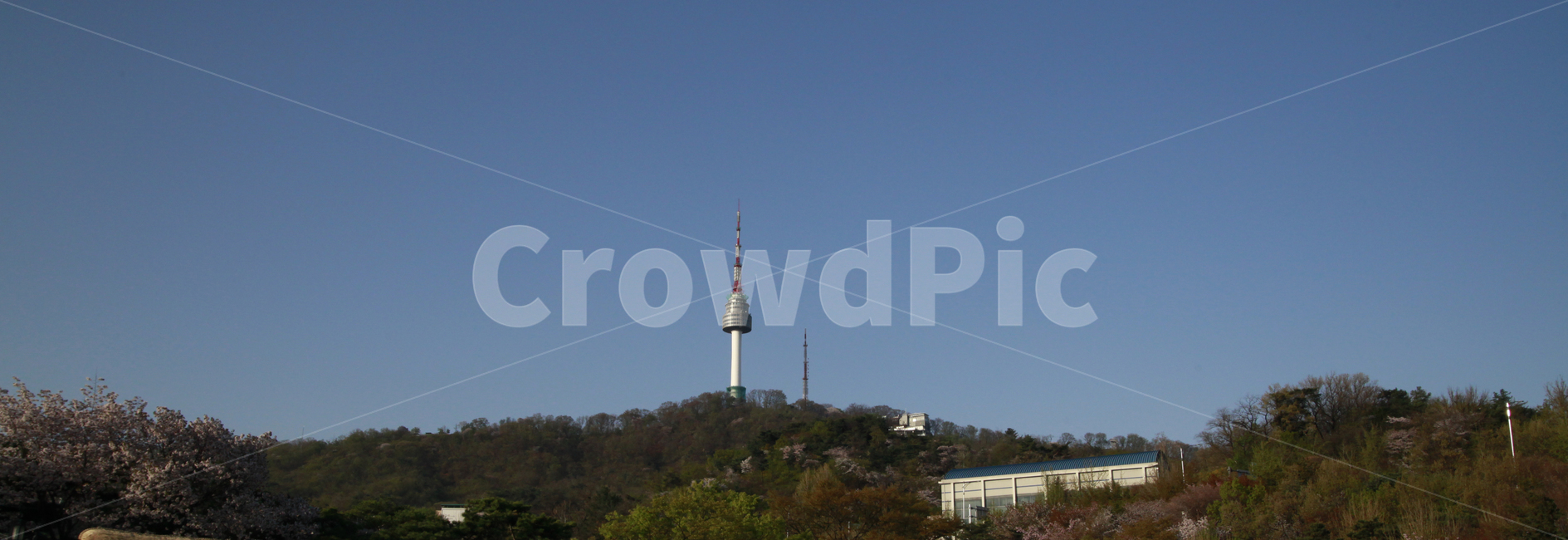 남산,남산타워,하늘,맑음,나무,랜드마크,landmark,tourist attraction,한국랜드마크,한국관광지,한국명소,korea landmark,korea tourist attraction