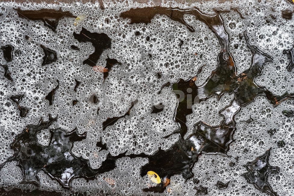 거품,빗물,물,bubble,water