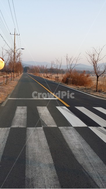 아스팔트,road,도로,횡단보도,길
