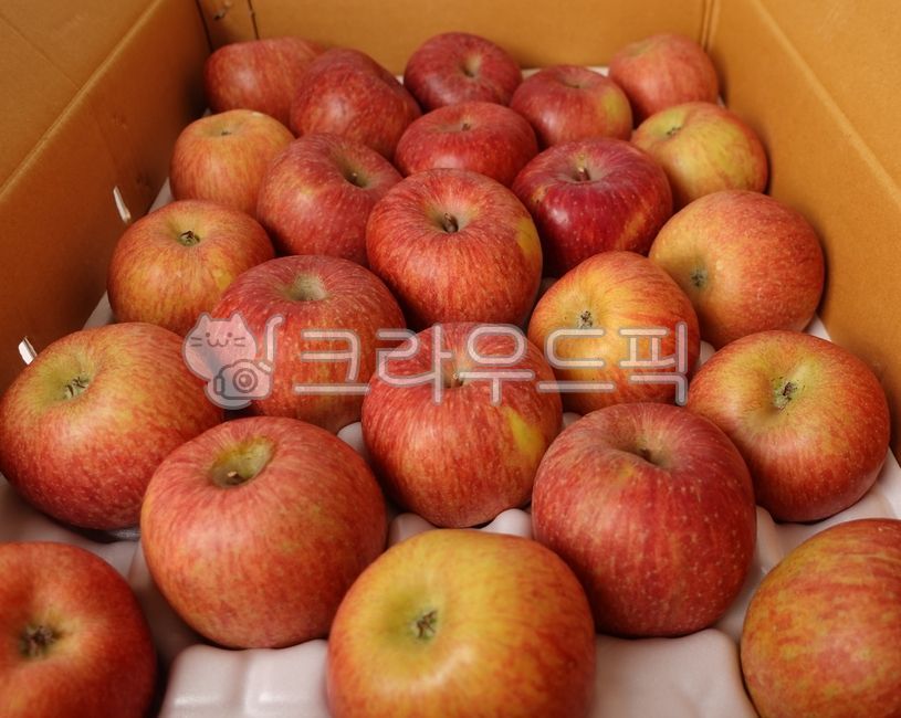 several apples,fruit,red fruit,food,apple,apple box,special apples,apples,fruit box,new apples