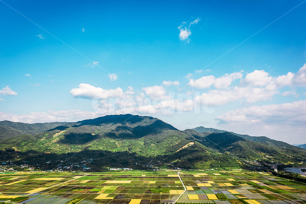 논,밭,부부송,시골,하동,자연,풍경,nature,landscape,한국자연풍경,한국자연경관,korea nature landscape,산업,industry,industrial,농업,농사,agriculture,farming,farming industry,outdoors,옥외,grassland,목초지,field,들