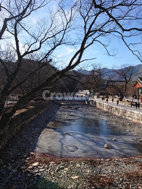 겨울,하늘,파란하늘,통도사,풍경,겨울,계절,winter,season,자연,풍경,nature,landscape,한국자연풍경,한국자연경관,korea nature landscape,gravel,자갈,road,도로,dirt road,흙길,human,인간,person,사람
