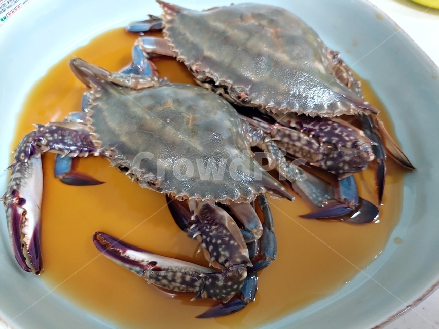 간장게장,게,음식,food,seafood,해물
