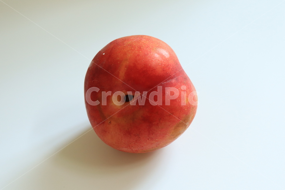 자두,여름과일,plum,fruit,자두나무열매,음식,food,건강,신선함,달콤,새콤,식재료,과일,열매,fruit