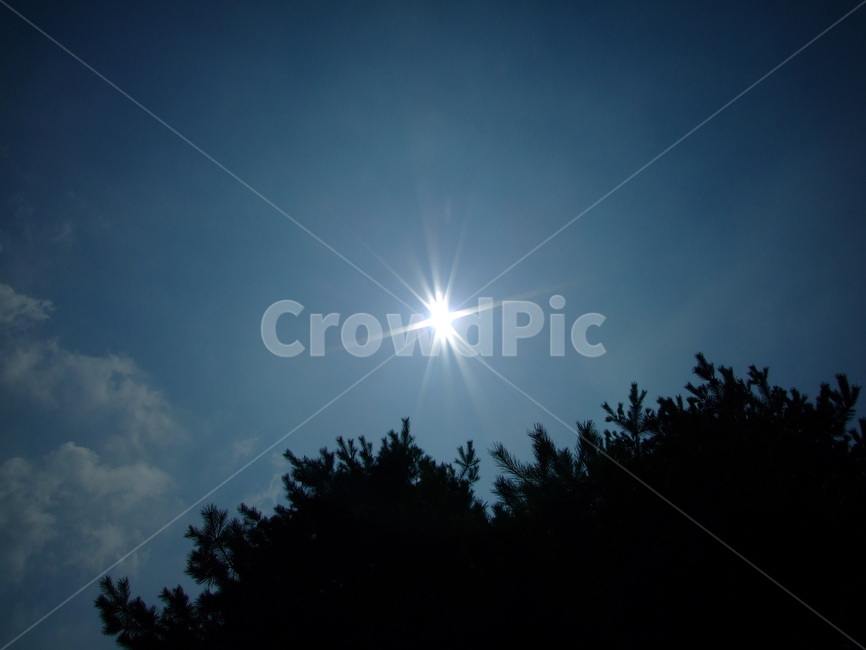 태양,일식,하늘,햇빛,산란,자연,풍경,nature,landscape,flare,플레어,light,빛