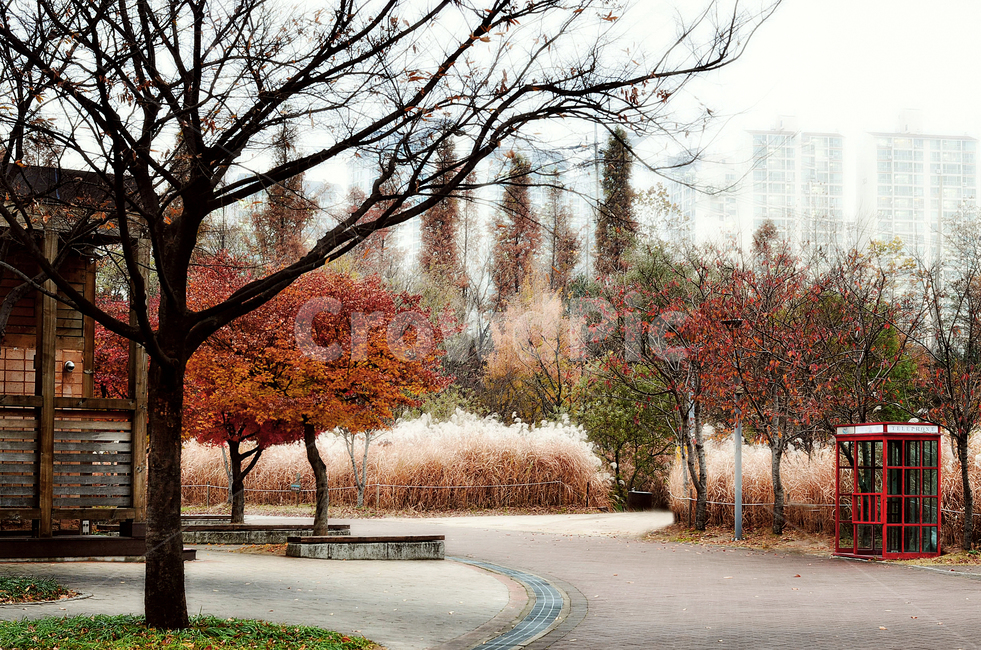 가을,공중전화,공원,가을공원,식물,나무,plant,tree,외로움,쓸쓸함,상념,생각,사색,고독,감정,감성,필,느낌,분위기,서정,슬픔,우울,그리움,옛생각,회상,기억,추억,습기,촉촉,가을,계절,fall,autumn,season,자연,풍경,nature,landscape