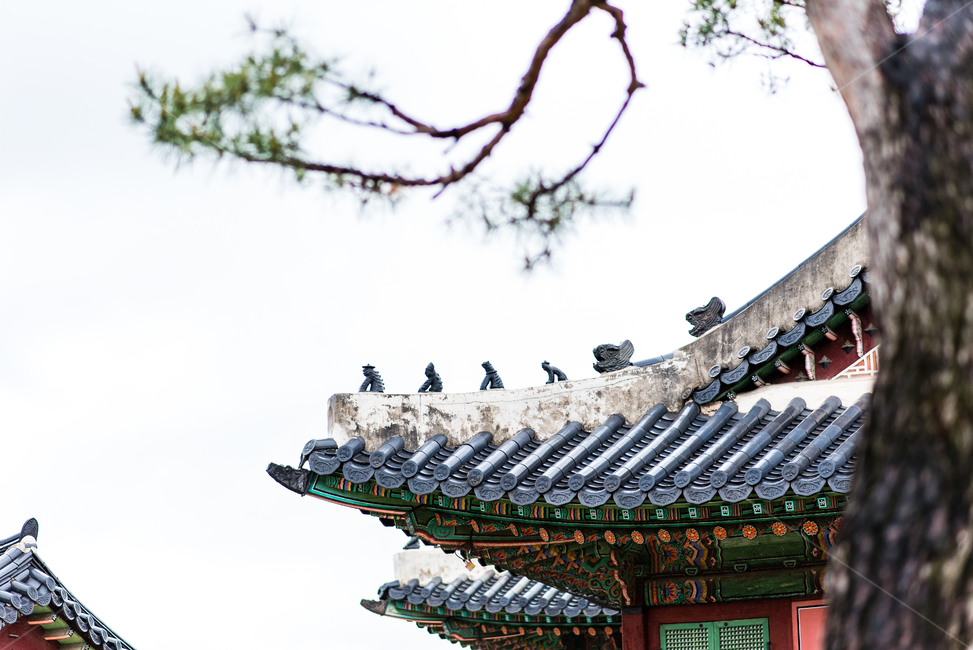 경복궁,궁,기와,한옥,잡상,어처구니,한국,전통,나무,자연
