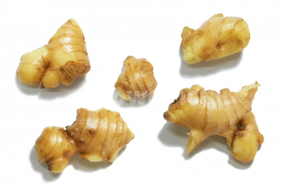 생강,ginger,향신료,식재료,식품,차,뿌리,줄기,isolated,향기,냄새,매운,맛,알싸한,한국,아시아,씻은,신선한,껍질,수정과,김치,재료,마트,식료품,농사,야채,채소,음식,식재료,요리,food,cook,meal,dishes,food reserves,채소,야채,vegetables,누끼,remove background