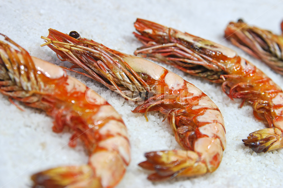 새우,새우구이,대하,대하구이,소금,소금구이,음식,요리,해산물,수산물,해물,구운,해물요리,음식,식재료,요리,food,cook,meal,dishes,food reserves,수산물,해산물,fishery products,seafood