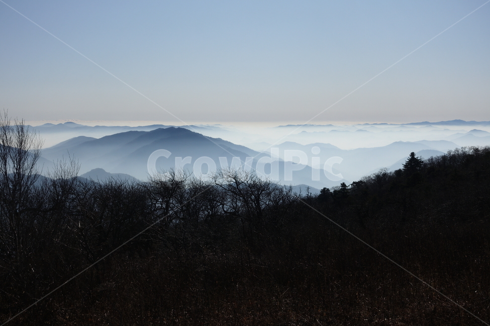 발왕산,산,정상,풍경,안개,운무,몽환적인,실루엣,nature,자연,outdoors,옥외,mountainrange,산맥,mountain,자연,풍경,nature,landscape