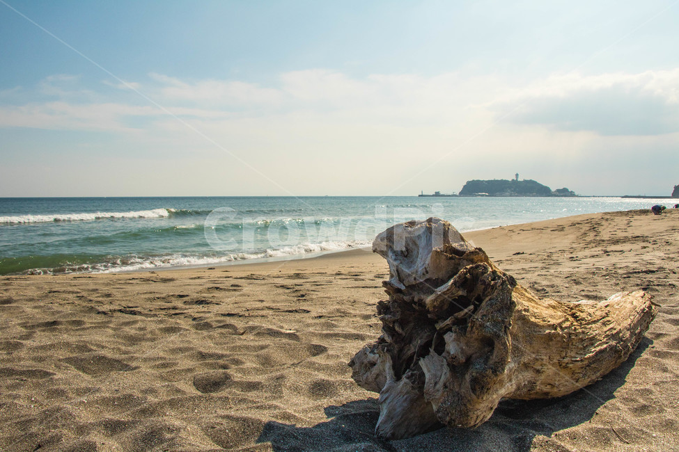 나무,해변,가마쿠라,에노시마,섬,하늘,바다,모래사장,파도,sea,nature,물,자연,wood,자연,풍경,nature,landscape,해변,바다,beach,sea,water,ocean,대양,outdoors,옥외