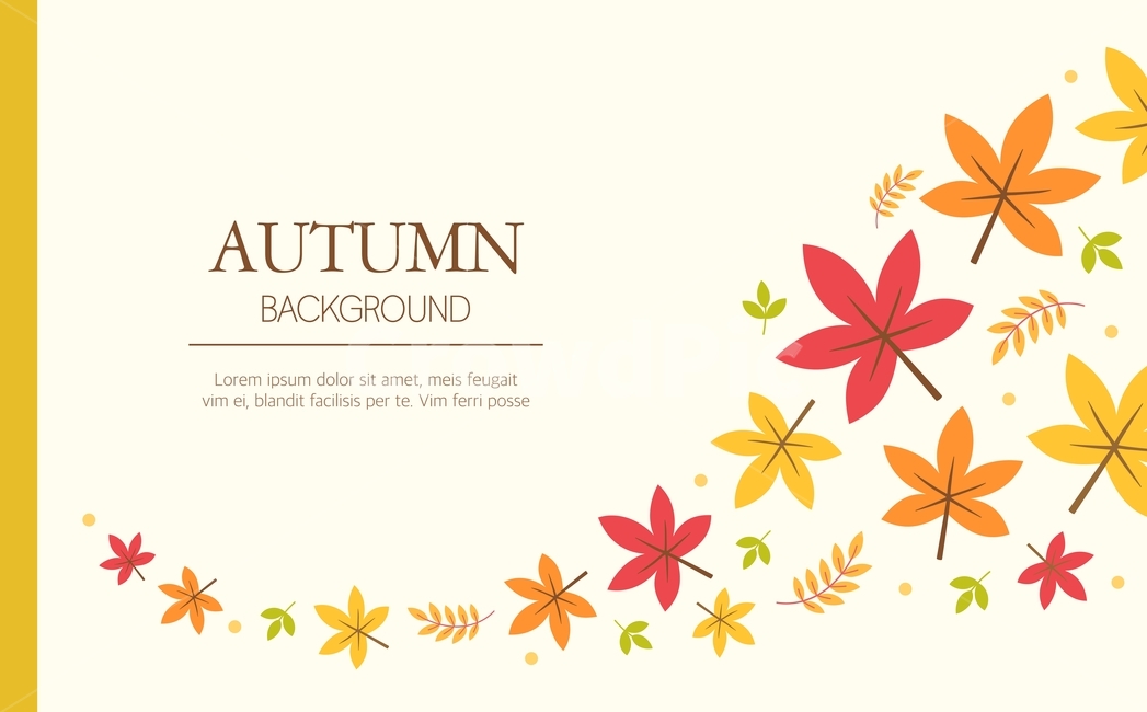단풍,낙엽,일러스트,배경,백그라운드,팝업,배너,카드,가을,계절,fall,autumn,season,그래픽,일러스트레이션,graphic,illustration
