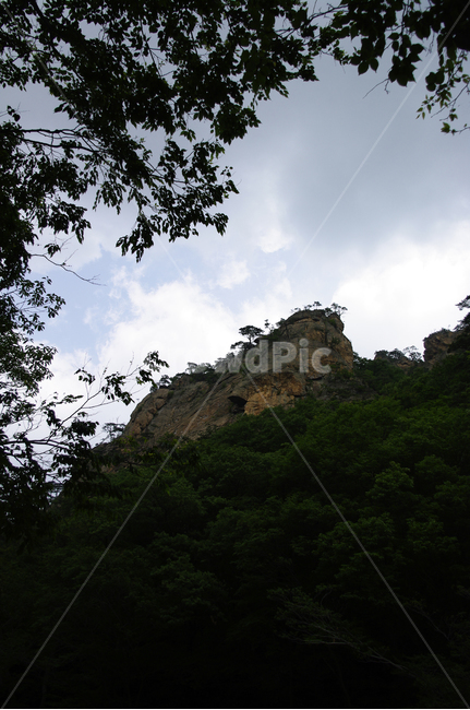 산,나무,풍경,바위,식물,자연,풍경,nature,landscape,cliff,낭떠러지,outdoors,옥외