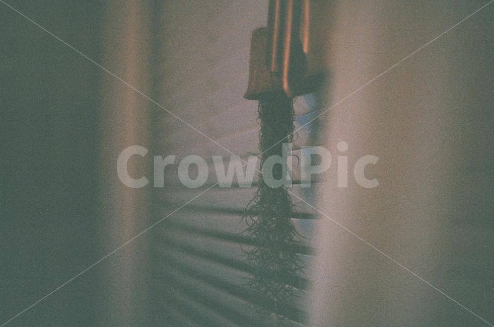 새벽,어두운,커튼,공간,식물,블라인드,혼자,생각,화분,감성사진,필름사진,dawn,dark,curtain,space,blind,alone,thinks,pot,sensitive,film,감성,sensible,feeling,인테리어,실내디자인,interior design