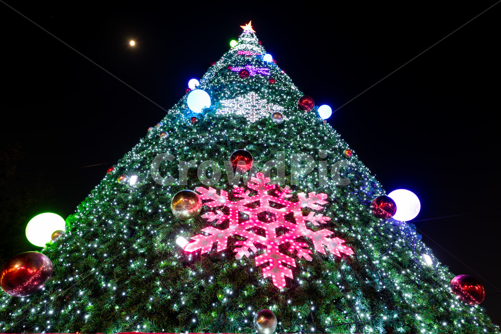크리스마스,트리,나무,성탄절,12월,led,겨울,계절,winter,season,야경,밤,풍경,nightscape,night,landscape,메리크리스마스,성탄절,merry christmas,christmas tree,크리스마스 트리,tree,plant,식물,ornament,장식
