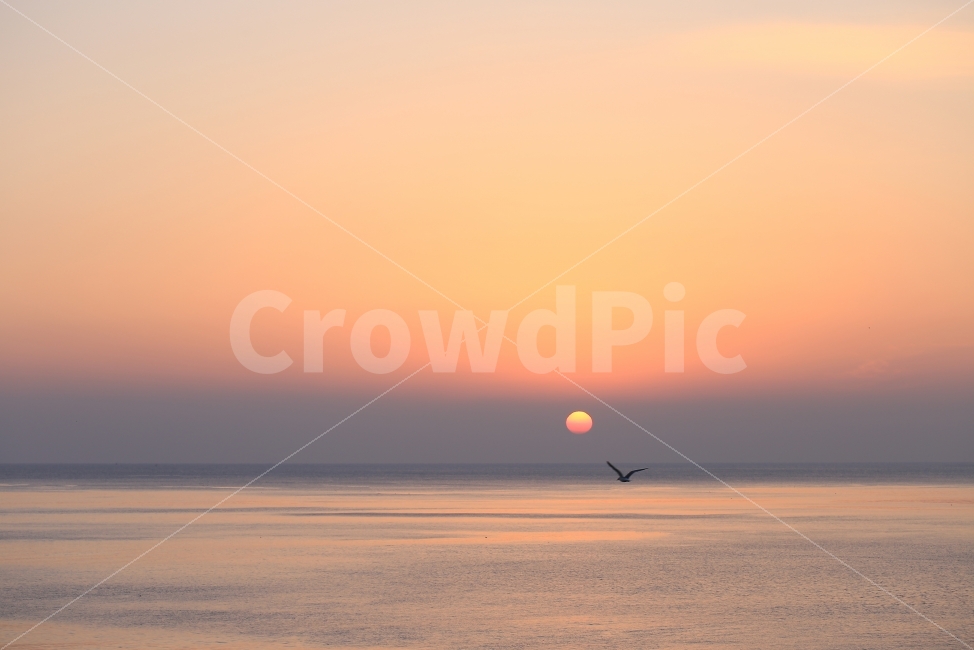 태양,노을,바다,갈매기,풍경,사진,배경,화면,바탕,붉은노을,SUN,휴일,자연,풍경,nature,landscape,outdoors,옥외