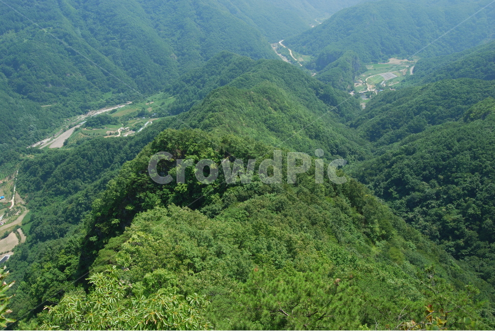 팔각산,봄,자연,공원,휴양림,자연,풍경,nature,landscape,한국자연풍경,한국자연경관,korea nature landscape,slope,경사,outdoors,옥외,mountain,산
