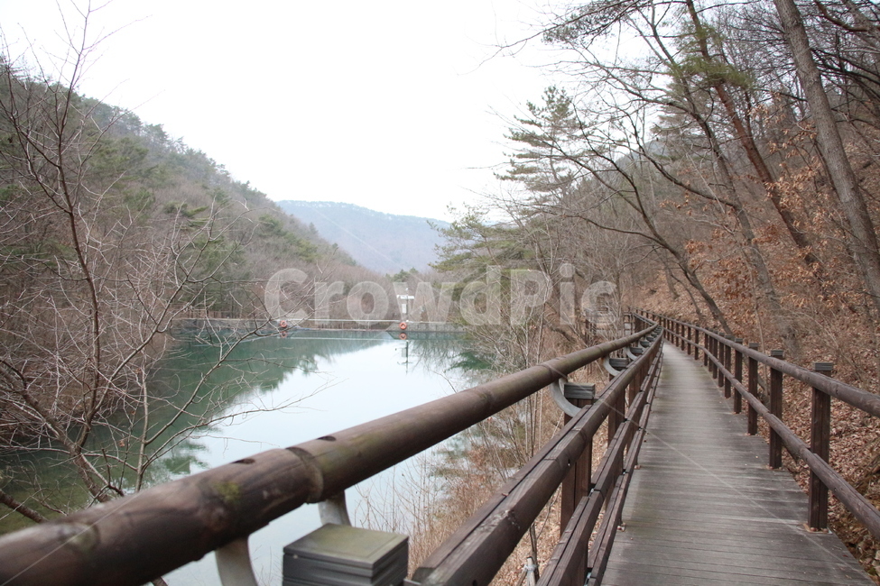 길,트임,길끝자락,생각,조용한,나무다리,나무길,저수지,자연,자연,풍경,nature,landscape,handrail,난간,banister,railing