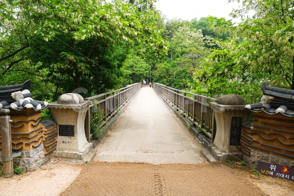 여행,travel,여행사진,국내여행,혼자여행,사진,전주,전주여행,배경사진,배경,이쁜사진,색감,색감좋은사진,풍경,풍경사진,벽화마을가는길,다리,한국전통,한국문화,korean traditional,korean culture,자연,풍경,nature,landscape,handrail,난간,banister