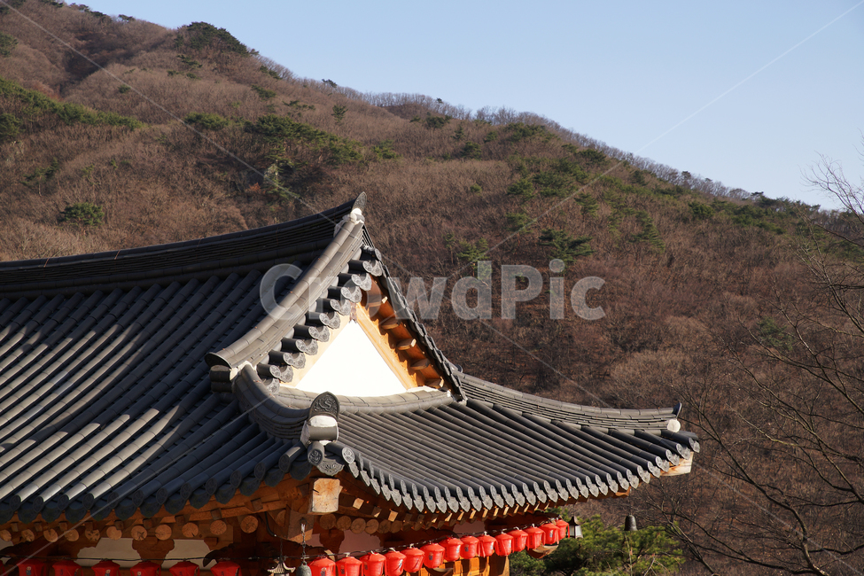청계사,청계산,의왕시,불교사찰,사찰,절
