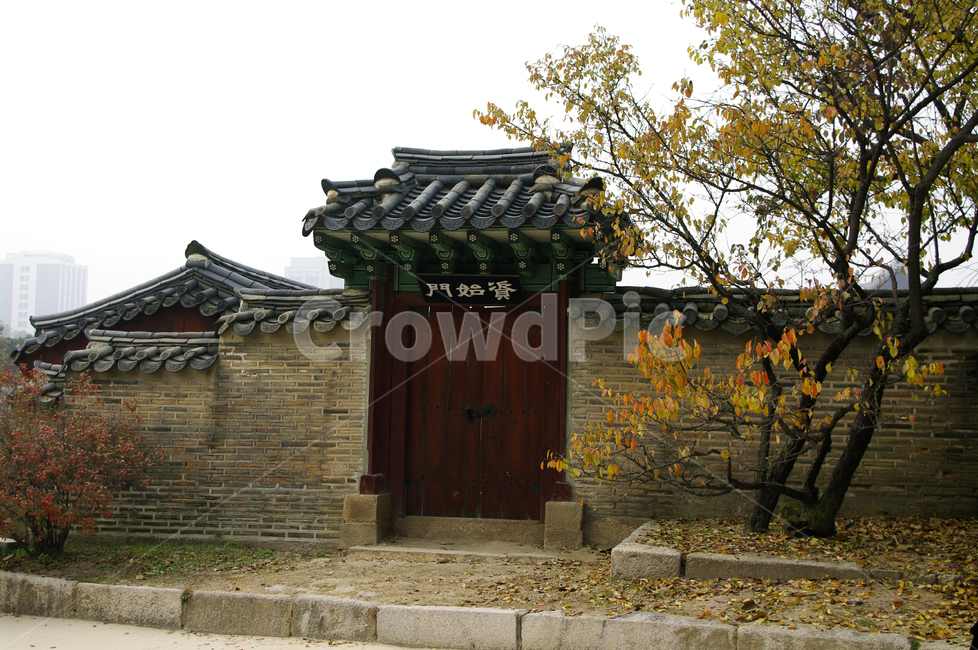 창덕궁,고궁,건축,전통건축,traditional,전통,기와지붕,가을,fall,나무,식물,plant,단풍,잎,가을,계절,fall,autumn,season,한국전통,한국문화,korean traditional,korean culture,랜드마크,landmark,tourist attraction,한국랜드마크,한국관광지,한국명소,korea landmark,korea tourist attraction,건축물,건물외관,exterior,building,structure,architecture,construction