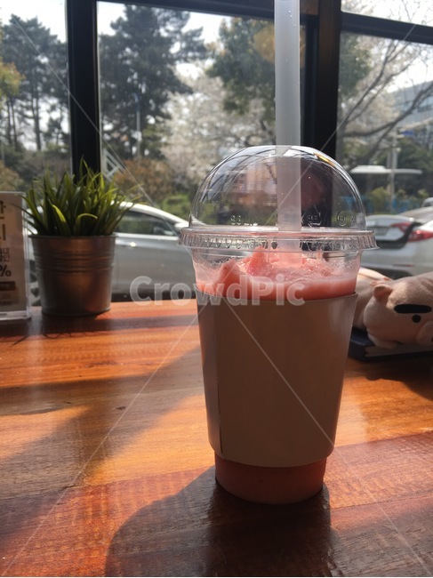 커피,햇빛,카페,오후,따뜻한날씨
