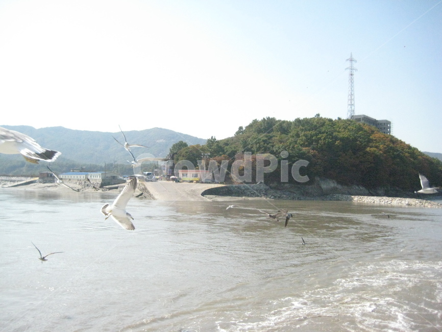 바다,자연,갈매기,섬,파도,자연,풍경,nature,landscape,outdoors,옥외,land,땅,water,물,shoreline,해안선,ocean,대양,sea,animal,동물,bird,새