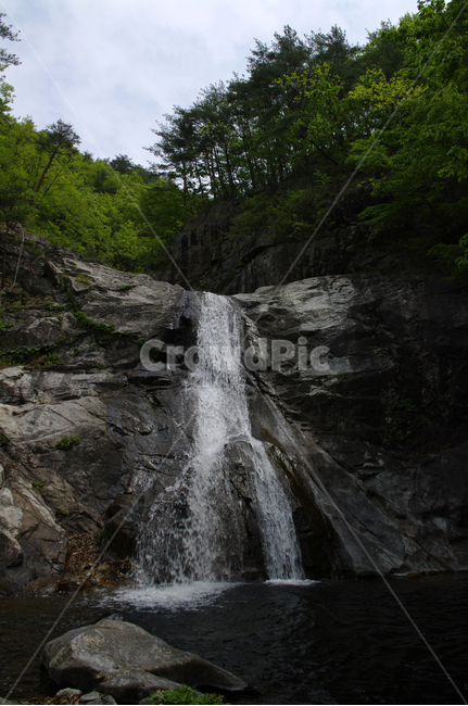 폭포,강물,바위,나무,숲,폭포수,자연,풍경,nature,landscape,한국자연풍경,한국자연경관,korea nature landscape,river,강,water,물,outdoors,옥외,waterfall
