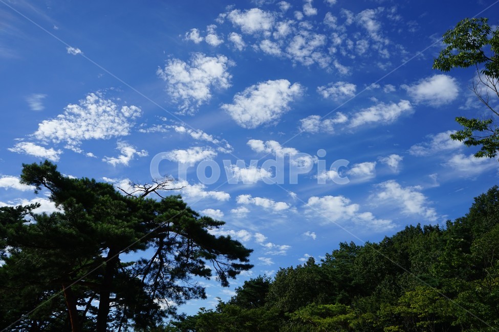 하늘,구름,푸른하늘,자연,풍경,가을,계절,배경,산,나무,숲,청명,가을풍경,가을감성,배경사진