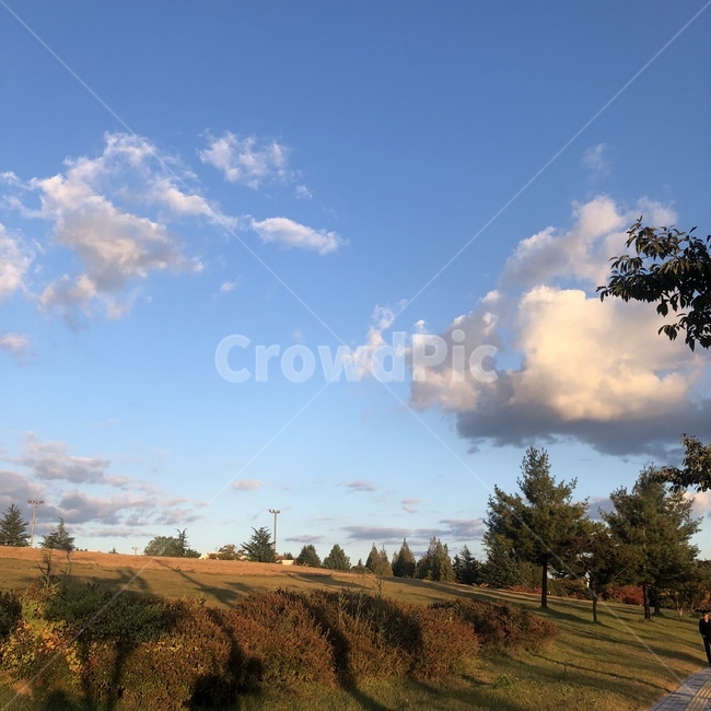 nature,자연,outdoors,옥외,sight,가을,구름,하늘,나무,tree,야외,노을,fall,cloud,자연,풍경,nature,landscape