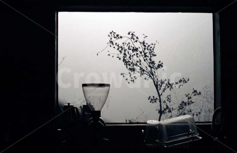 카페,창문,스냅,창가,빛,필름,커피,카페,coffee,cafe,감성,sensible,feeling,인테리어,실내디자인,interior design,흑백,모노톤,monochrome,black and white