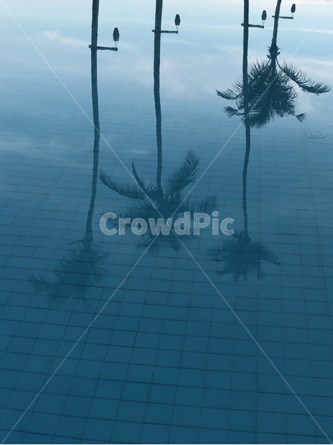 몰디브,maldives,휴양지,섬,island,수영장,pool,튜브,나무,tree,swimming,수영,sky,자연,nature,outdoors,옥외,식물,treetrunk,plant,beach,coast,sea,ocean,바다,바닷가,tropical,트로피칼,summer,여름,여유,rest,반영,reflection,reflect,blue,컬러풀,colorful,트로피컬