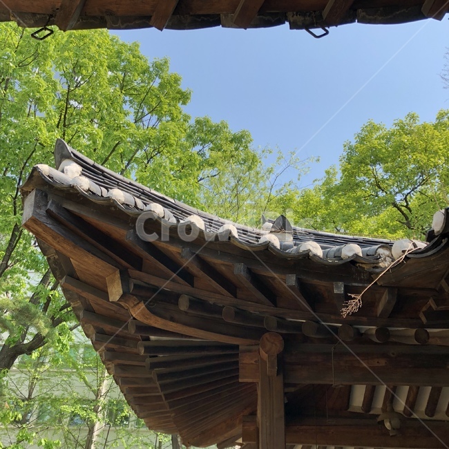 서까래,한옥,koreantraditionalarchitecture,지붕,기와,기와지붕,도심속한옥,한국전통,한국문화,korean traditional,korean culture,건축물,건물외관,exterior,building,structure,architecture,construction