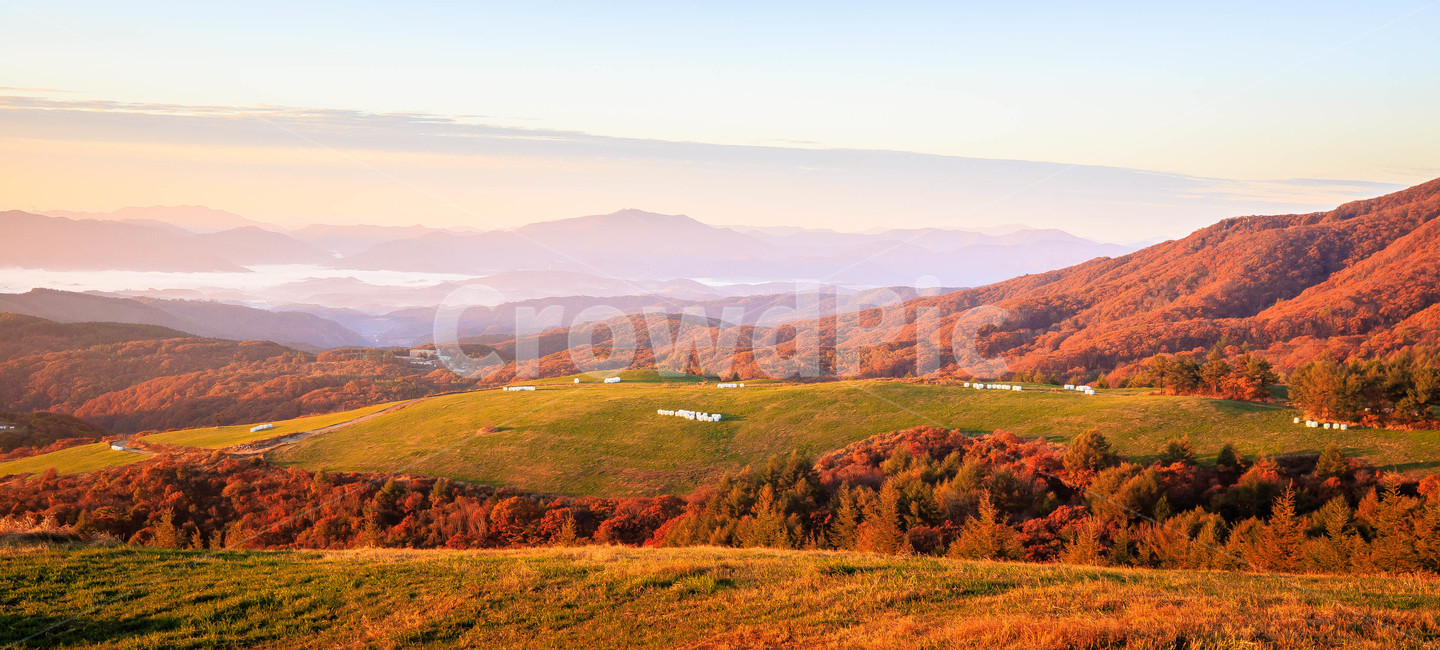 선자령,가을,단풍,하늘,새벽,가을,계절,fall,autumn,season,자연,풍경,nature,landscape,한국자연풍경,한국자연경관,korea nature landscape,outdoors,옥외,plateau,고원,hill,언덕
