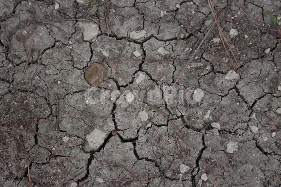 ground,바닥,soil,흙,가뭄,지구온난화,물부족,drought,globalwarming,dry,land