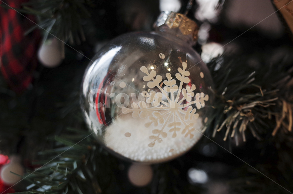 ornament,장식,tree,나무,christmas,크리스마스,크리스마스트리장식,스노우볼,snow,snowball,메리크리스마스,성탄절,merry christmas,사물,물건,오브젝트,thing,object,matter