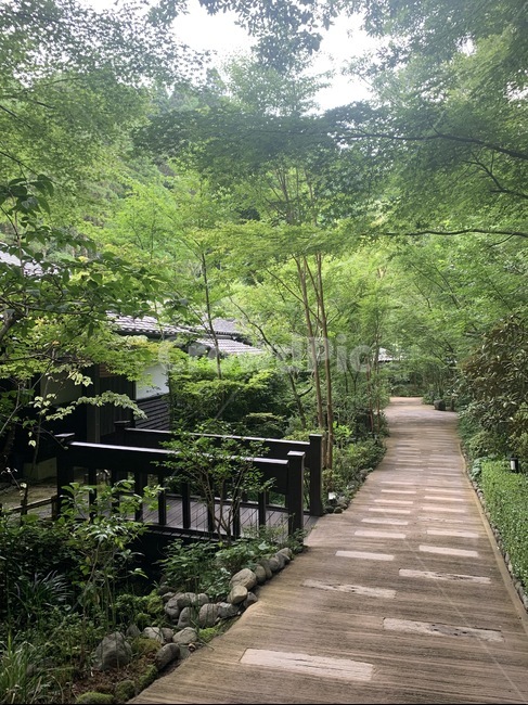 garden,정자,정원,대나무,일본,자연,풍경,nature,landscape