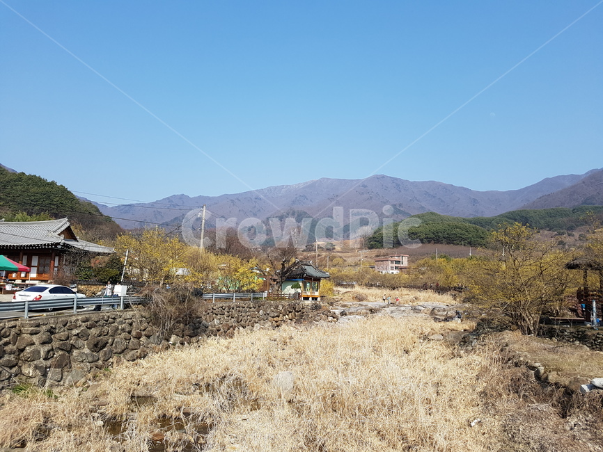 지리산,구례,산동마을,자연,봄꽃,구례산수유축제,봄,계절,spring,season,시골,마을,풍경,landscape,country,rural,town