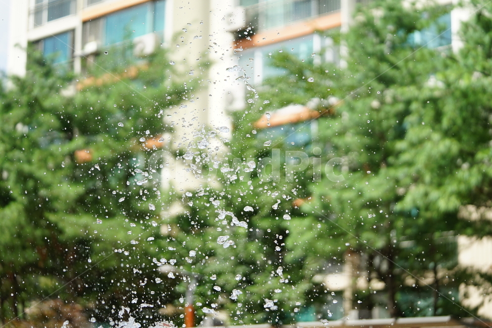 분수,물,물줄기,여름,계절,water,순간,순간포착,더위,summer,여름,계절,summer,season