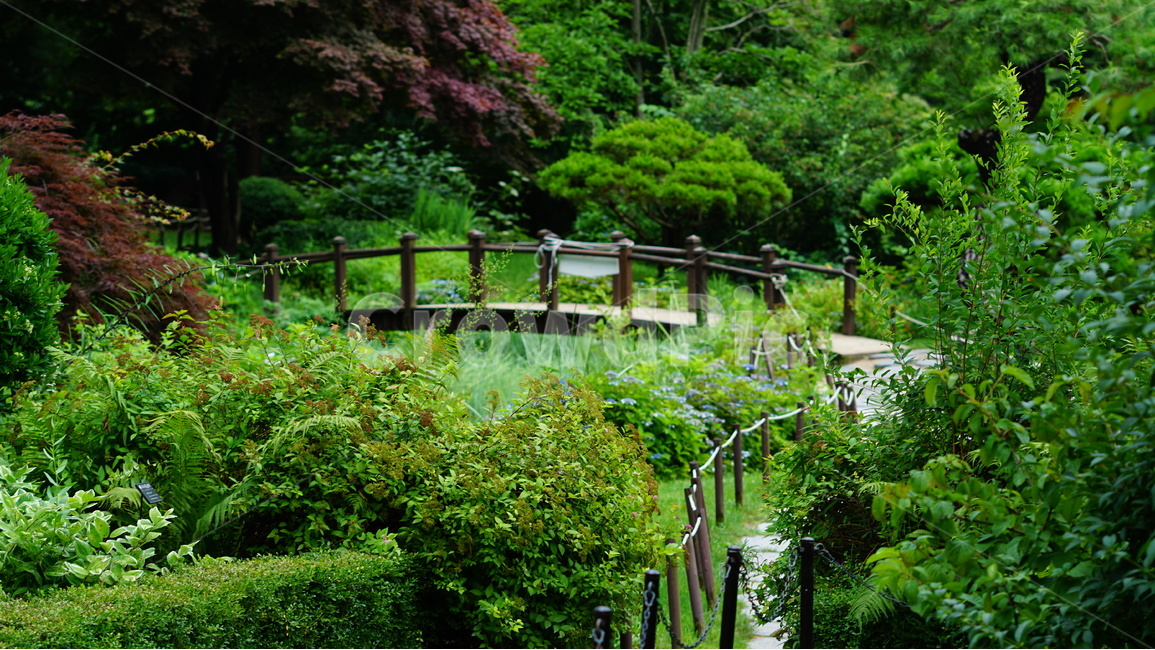 가평,숲,풍경,아침고요,수목원,자연,풍경,nature,landscape,outdoors,옥외,garden,정원,arbour,정자,potted plant,화분,jar,항아리,pottery,도기류,plant,식물