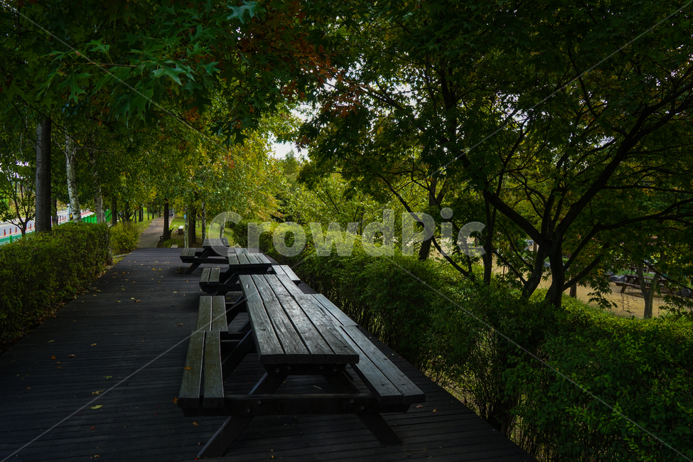 공원,산책로,의자,벤치,쉼터,가을,숲속,풍경,자연,풍경,nature,landscape