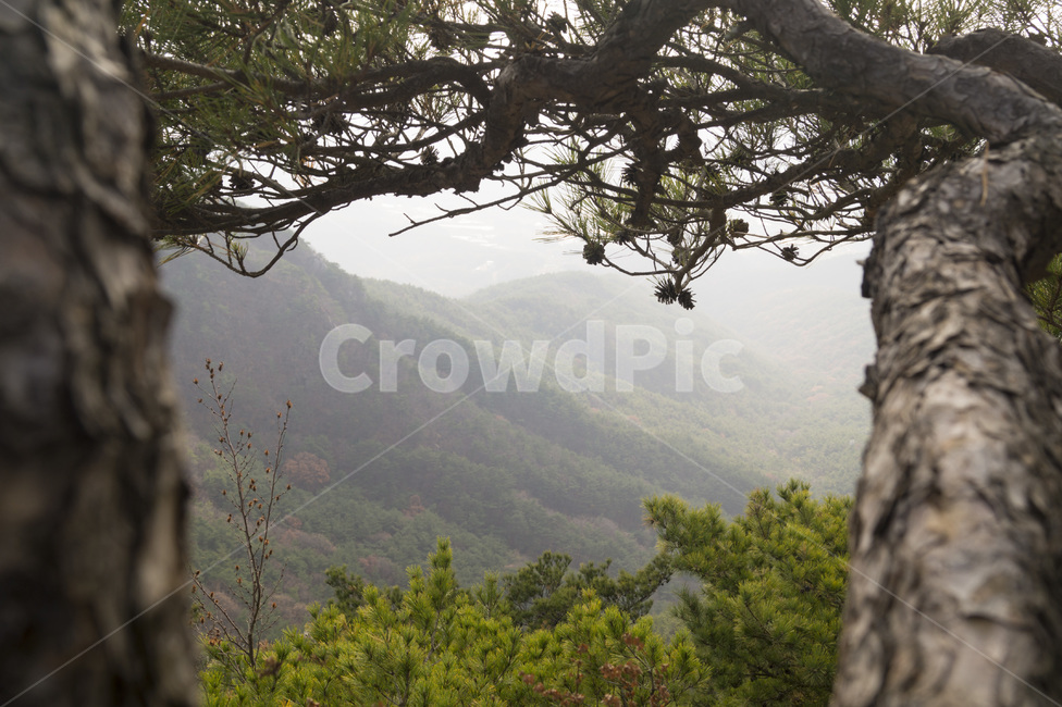 산,나무,숲,하늘,초록,풍경,자연,풍경,nature,landscape,tree,plant,식물,outdoors,옥외