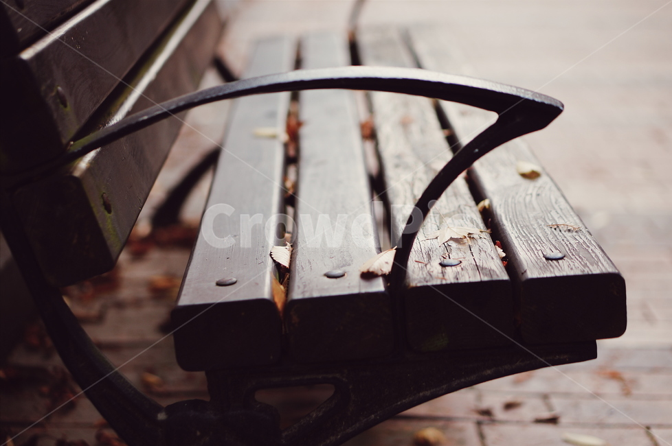 벤치,bench,공원벤치,parkbench,가을,fall,autumn,가을,계절,fall,autumn,season,furniture,가구,park bench,공원 벤치