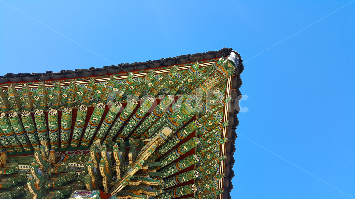 사찰,절,단청,단청무늬,한국전통무늬,지붕,한국적인색감,하늘,파란하늘,풍경,temple,colorful,southkorea,tradition,sky,landscpae,photography,한국전통,한국문화,korean traditional,korean culture,건축물,건물외관,exterior,building,structure,architecture,construction