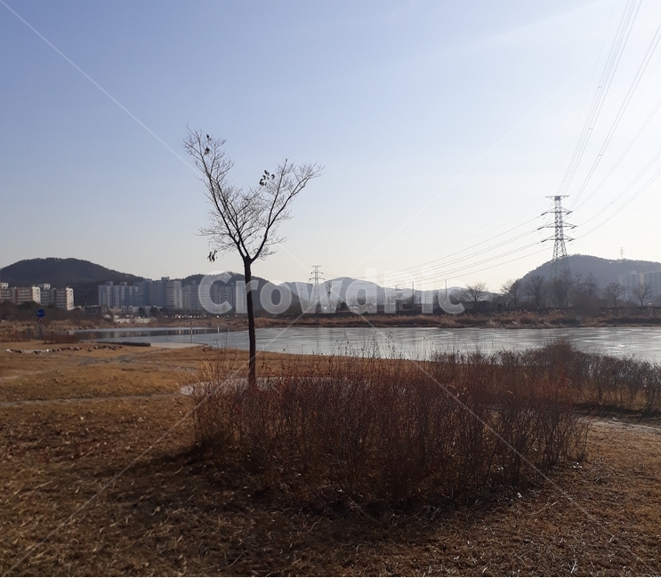 강,하천,나무,겨울,하늘