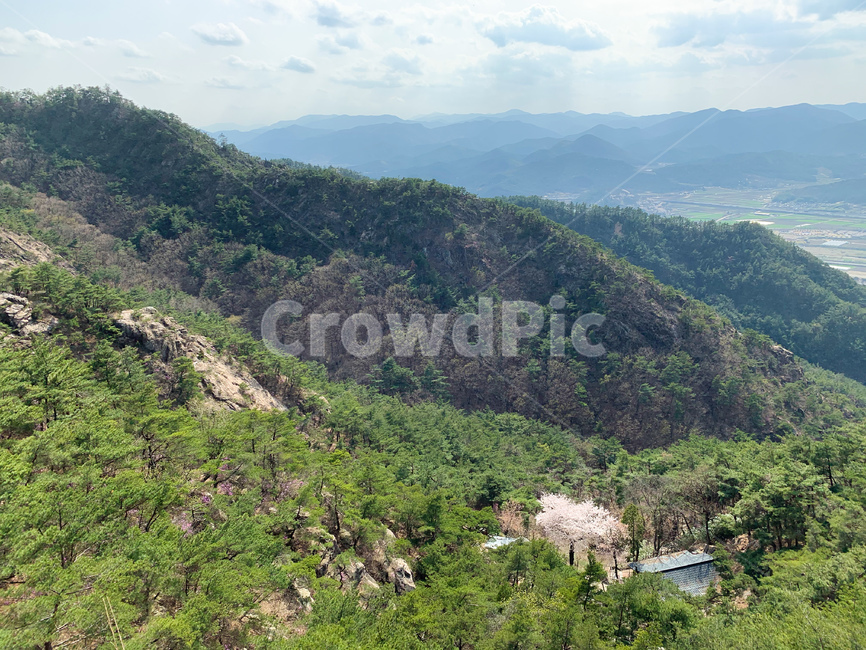 nature,자연,outdoors,옥외,산,경주,gyengju,남산,namsan,금오봉,한국,korea,풍경,landscape,green,나무,tree,hill,언덕,countryside,mountain,봄,spring