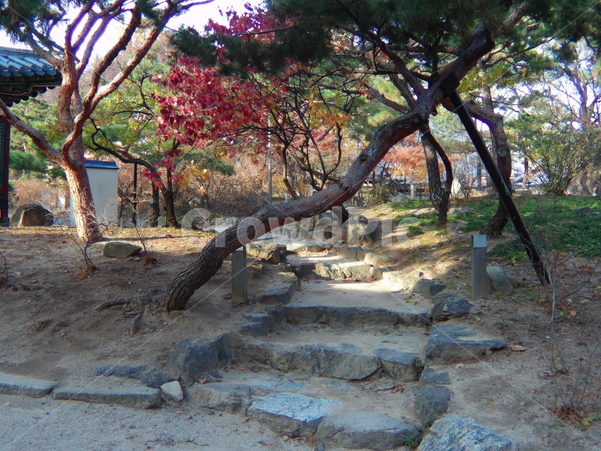 고궁,궁궐,조선궁궐,덕수궁궐,덕수궁궁궐,궁궐집,한옥궁궐,궁궐건축물,기와궁궐,궁궐기와지붕,경운궁궐,경운궁,덕수궁,궁궐건축물,한옥궁궐집,고궁문화재,역사고궁,개화기궁궐집