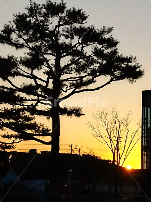 일출,해돋이,옥외,여명,자연,빛,nature,outdoors,광명