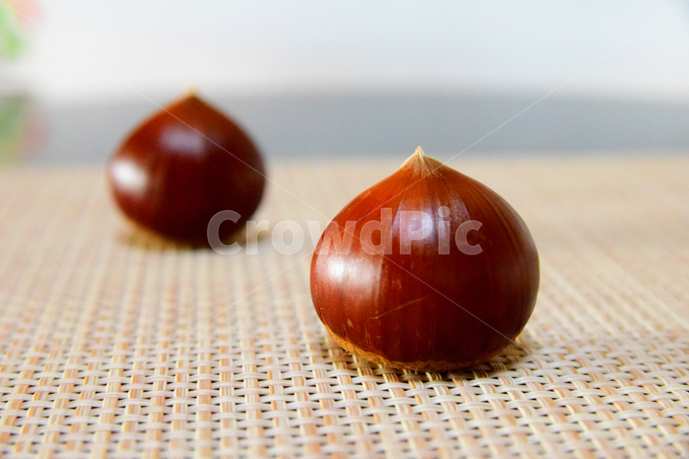 밤,밤알,알밤,열매,fruits,chestnut,가을,계절,fall,autumn,season,음식,식재료,요리,food,cook,meal,dishes,food reserves,plant,식물,vegetable,야채